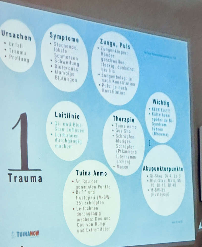 Tuina Best Of Lehrpraxis