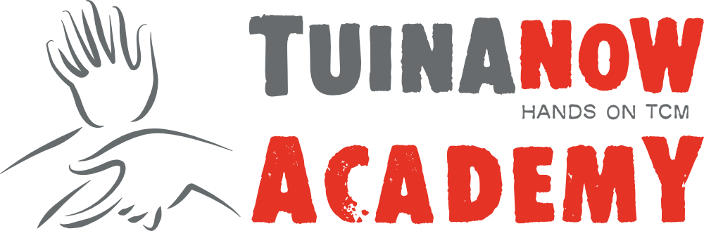 Tuina Now Academy Logo